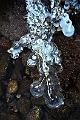 glace