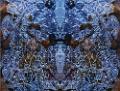glace.photomontage