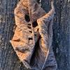 Feuille et givre